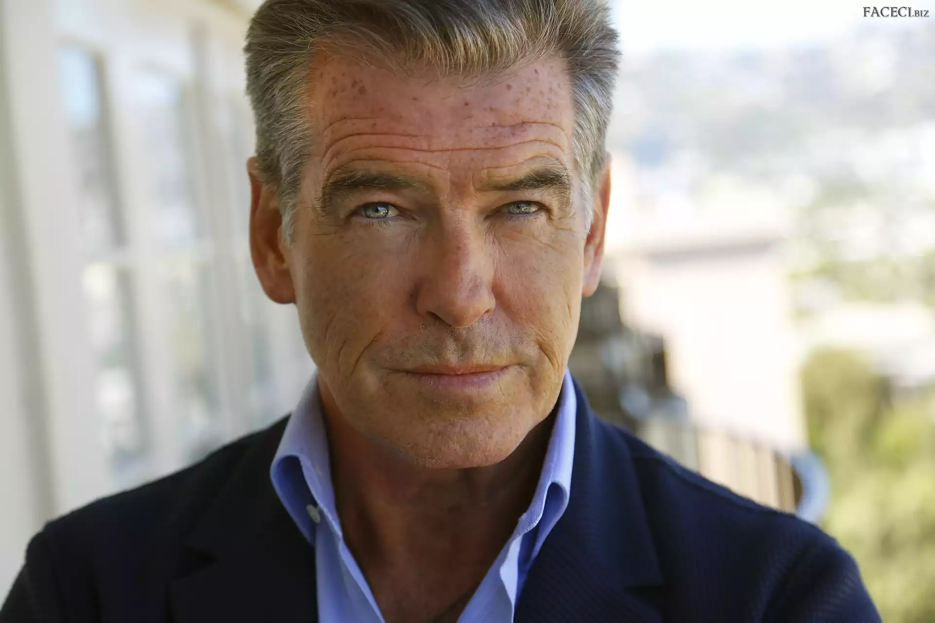 Brosnan, Aktor, Pierce